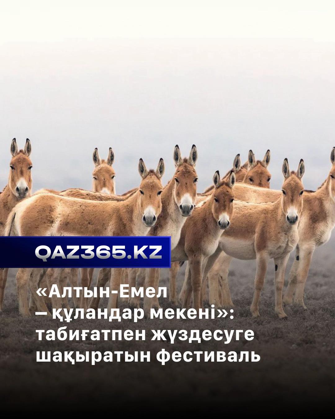 @Qaz365.kz | Новости Казахстана