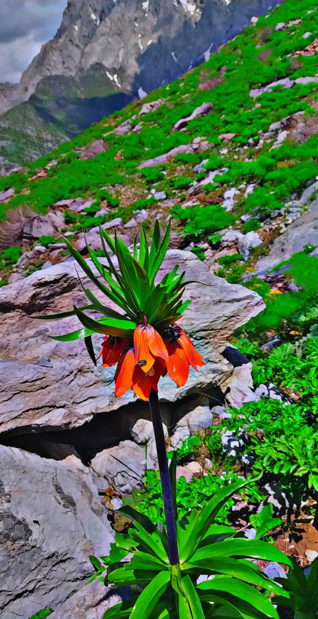 @nazdar_siyabent30