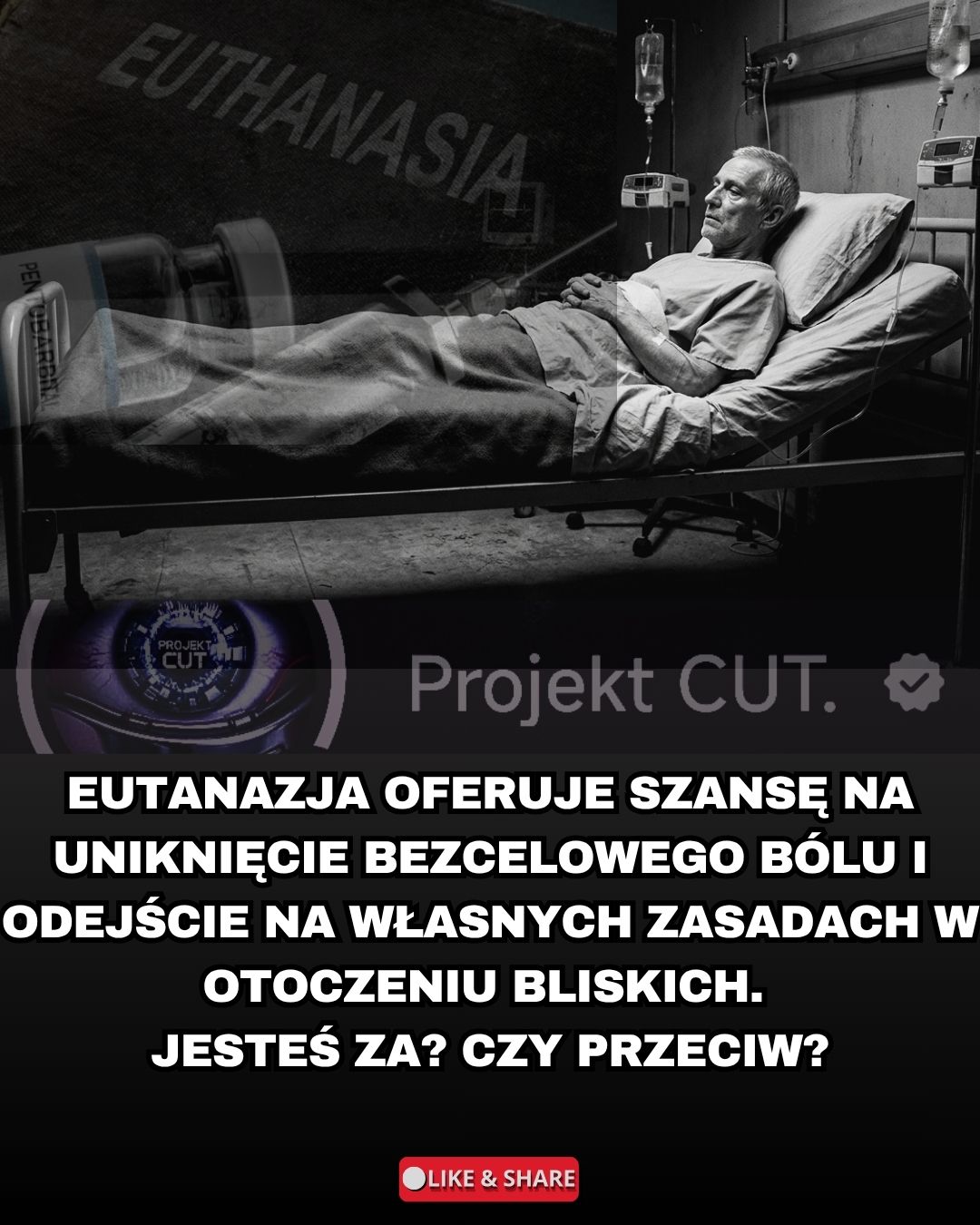 @Projekt CUT.