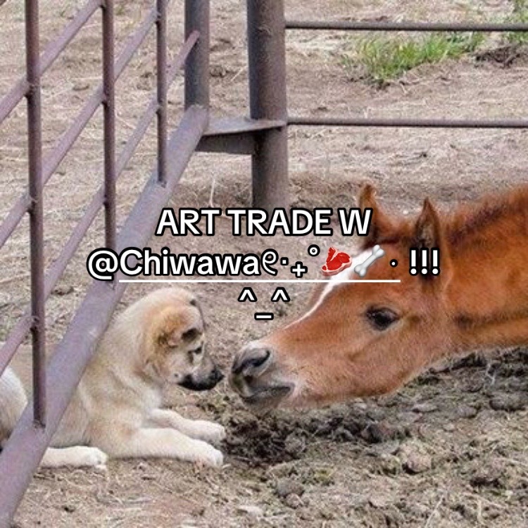 @‧ ₊ ᵎᵎ ☘️ ༉ .ᐟ