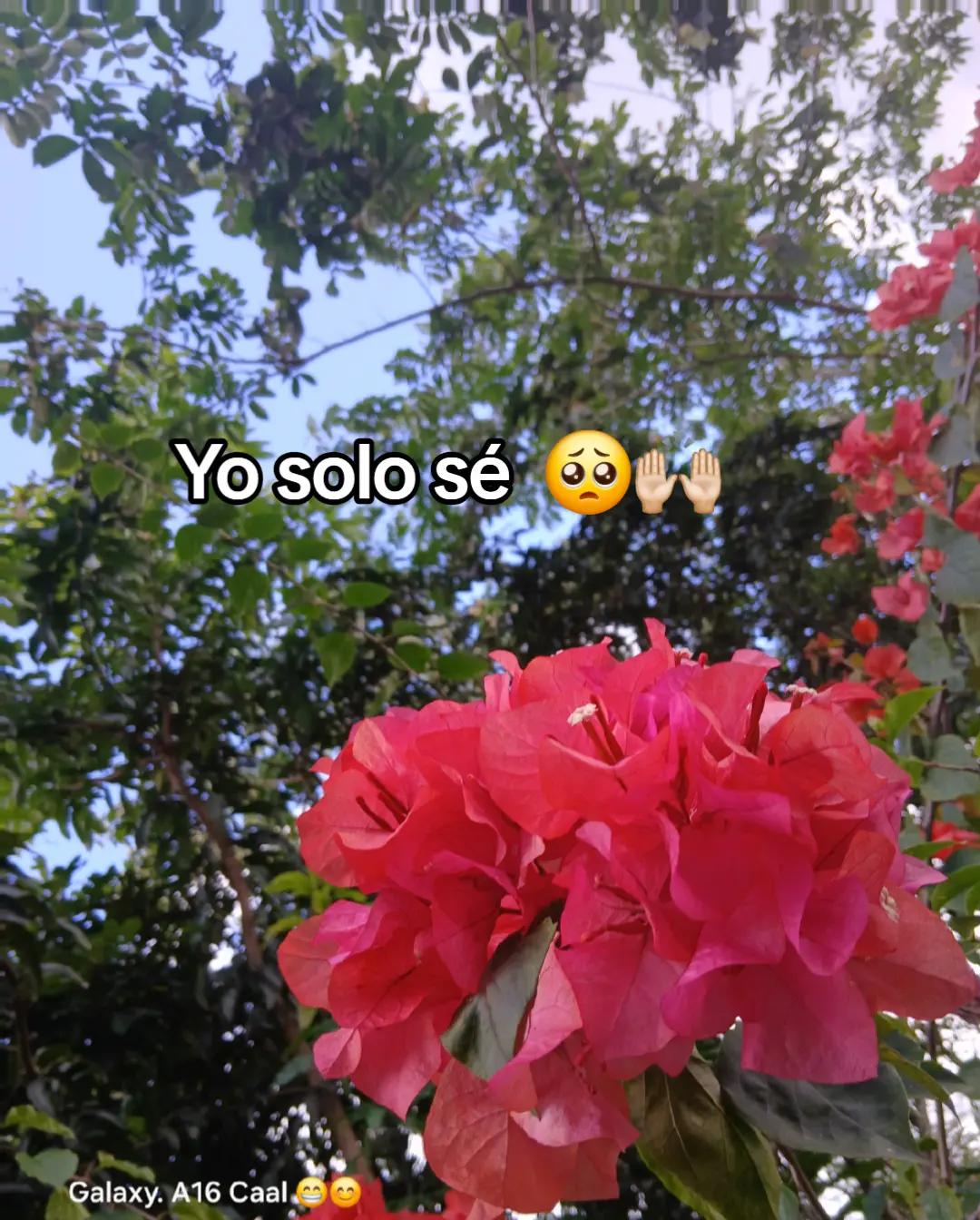 @@