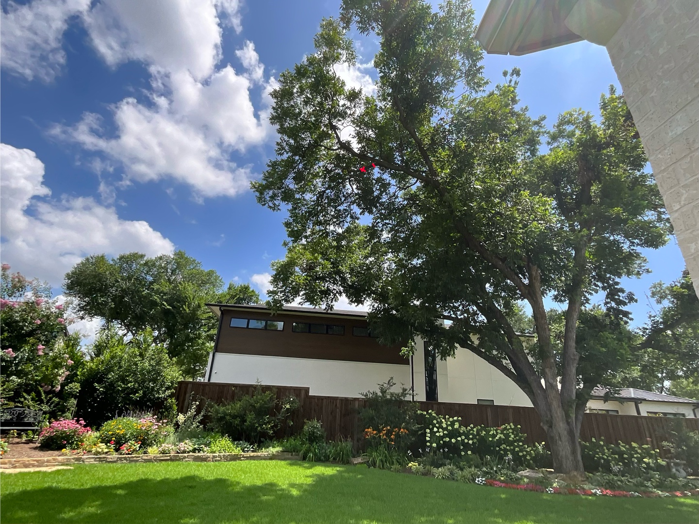 @Live Oak Tree Service
