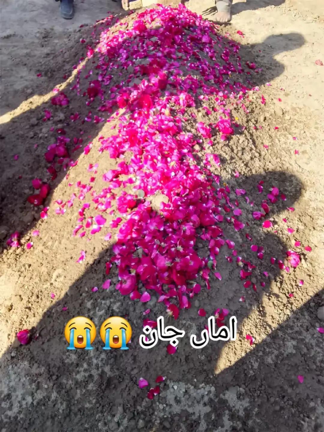 @Irfan laliya 🇵🇰