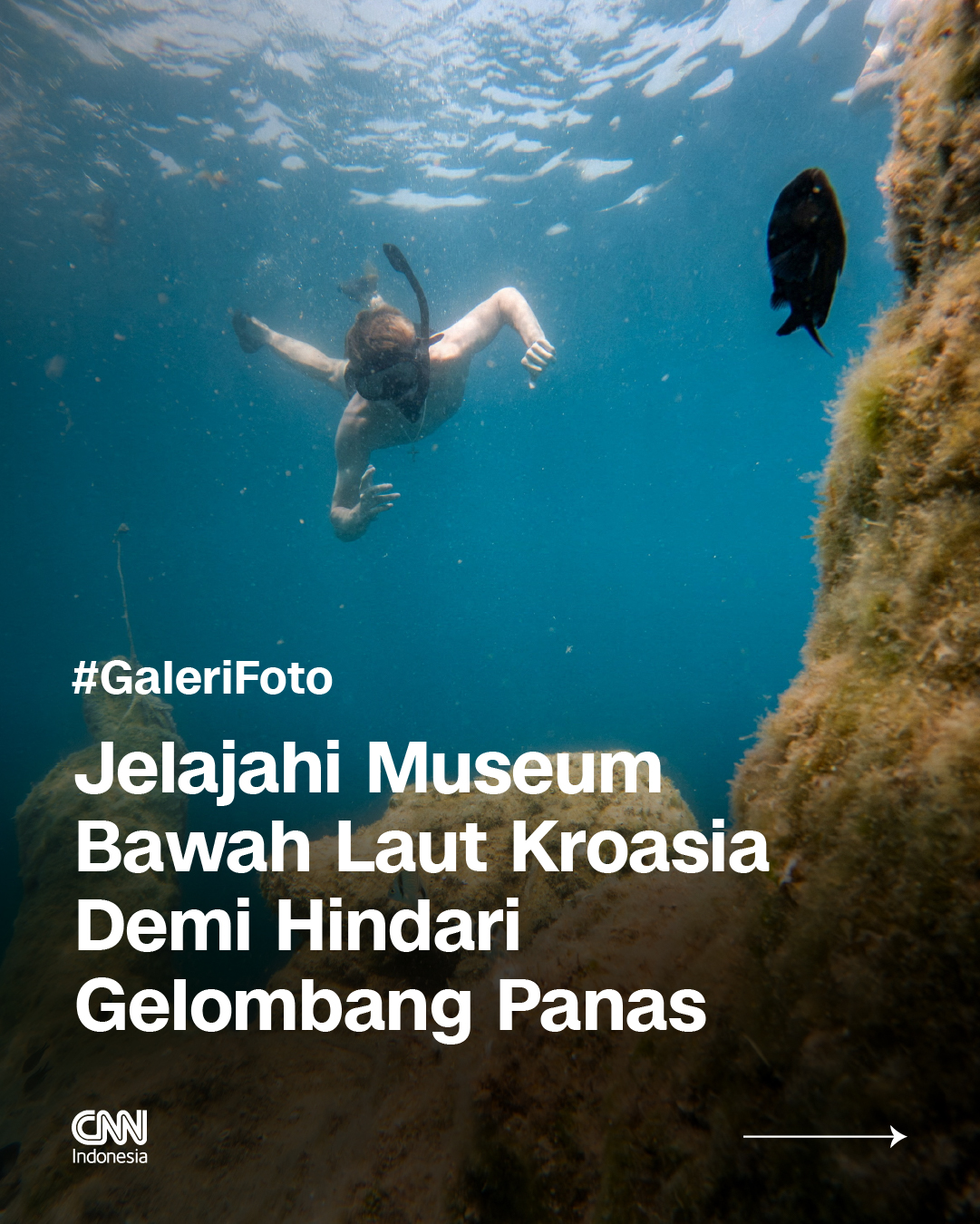 @CNN Indonesia