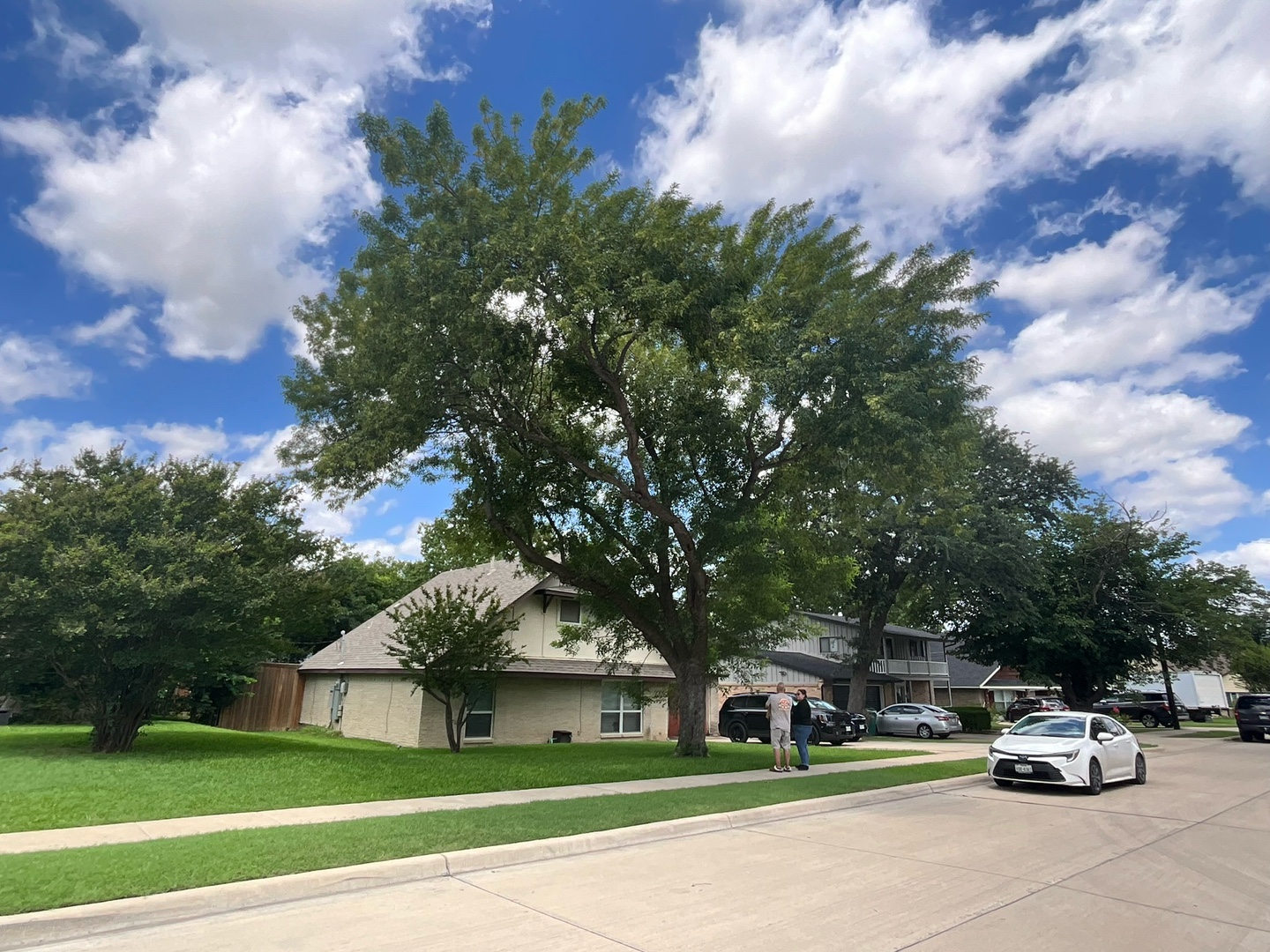 @Live Oak Tree Service