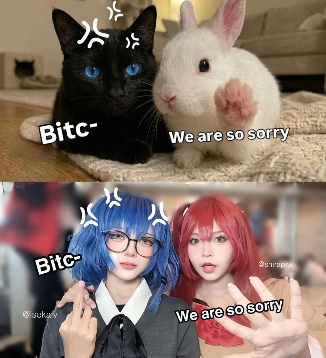 @Harumauw🐯