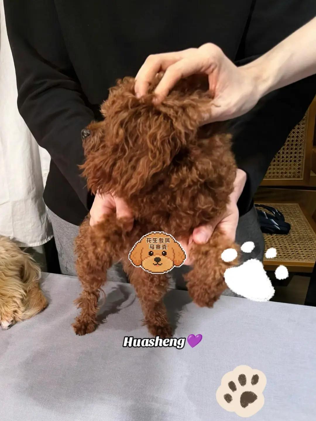 @XingQiuBei💜