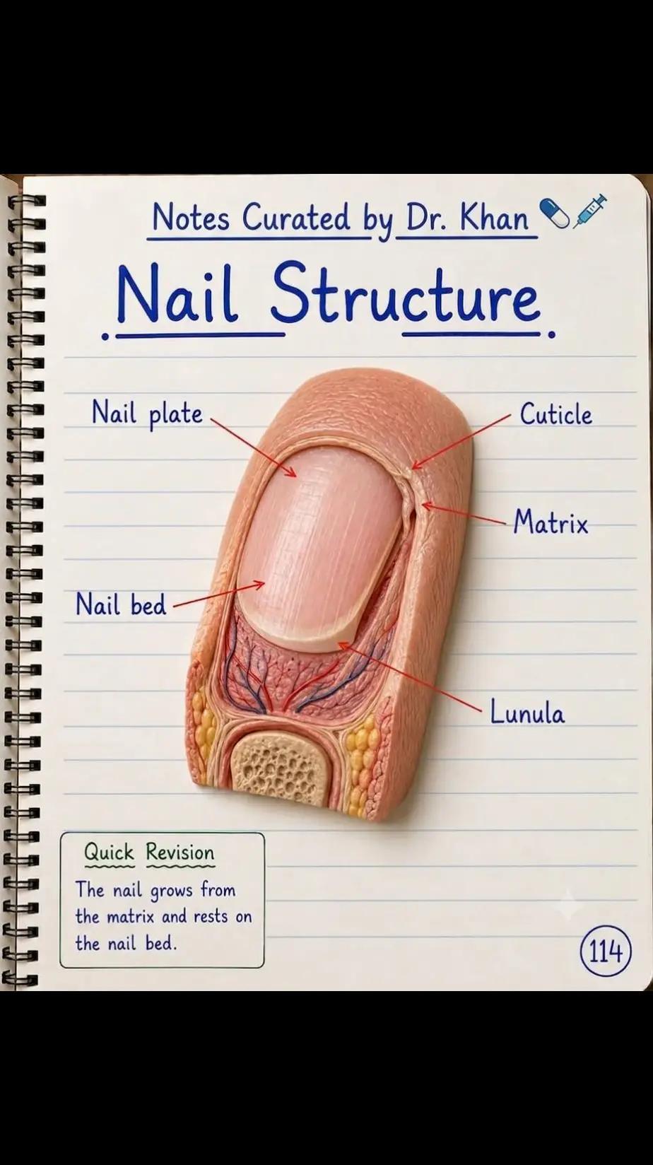 @Doctor Medicine