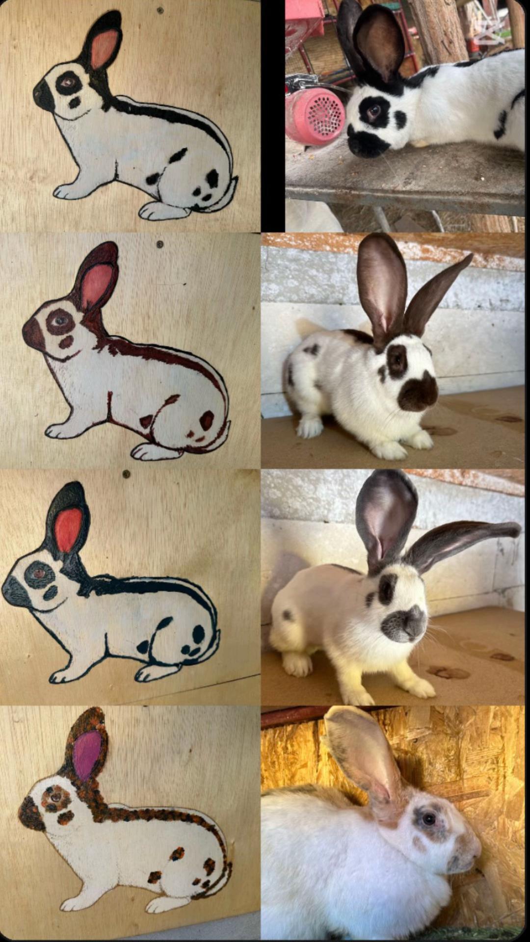 @sweet.bunny.club