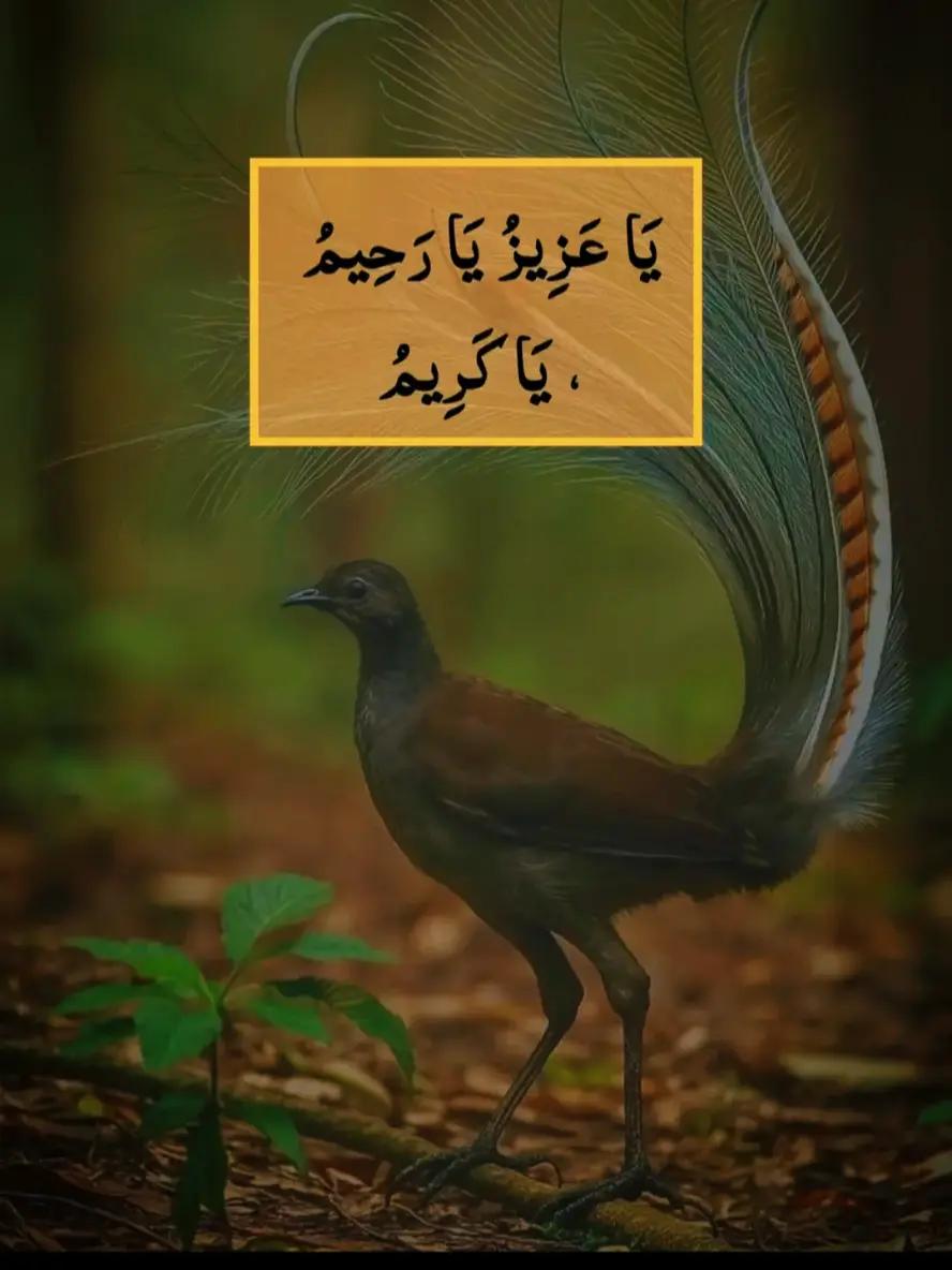 @@islamicvideotiktok341