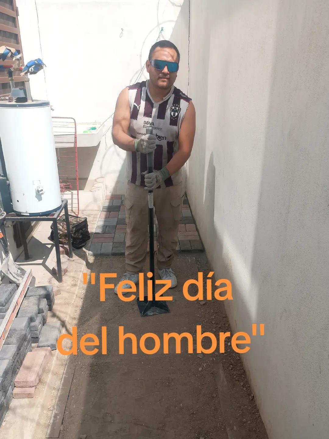 @el gibi en la obra