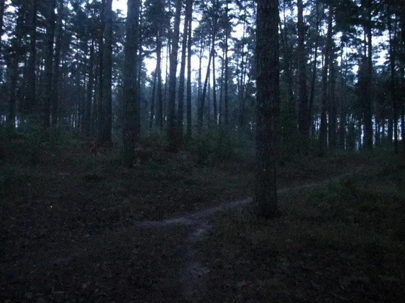 @Avsti