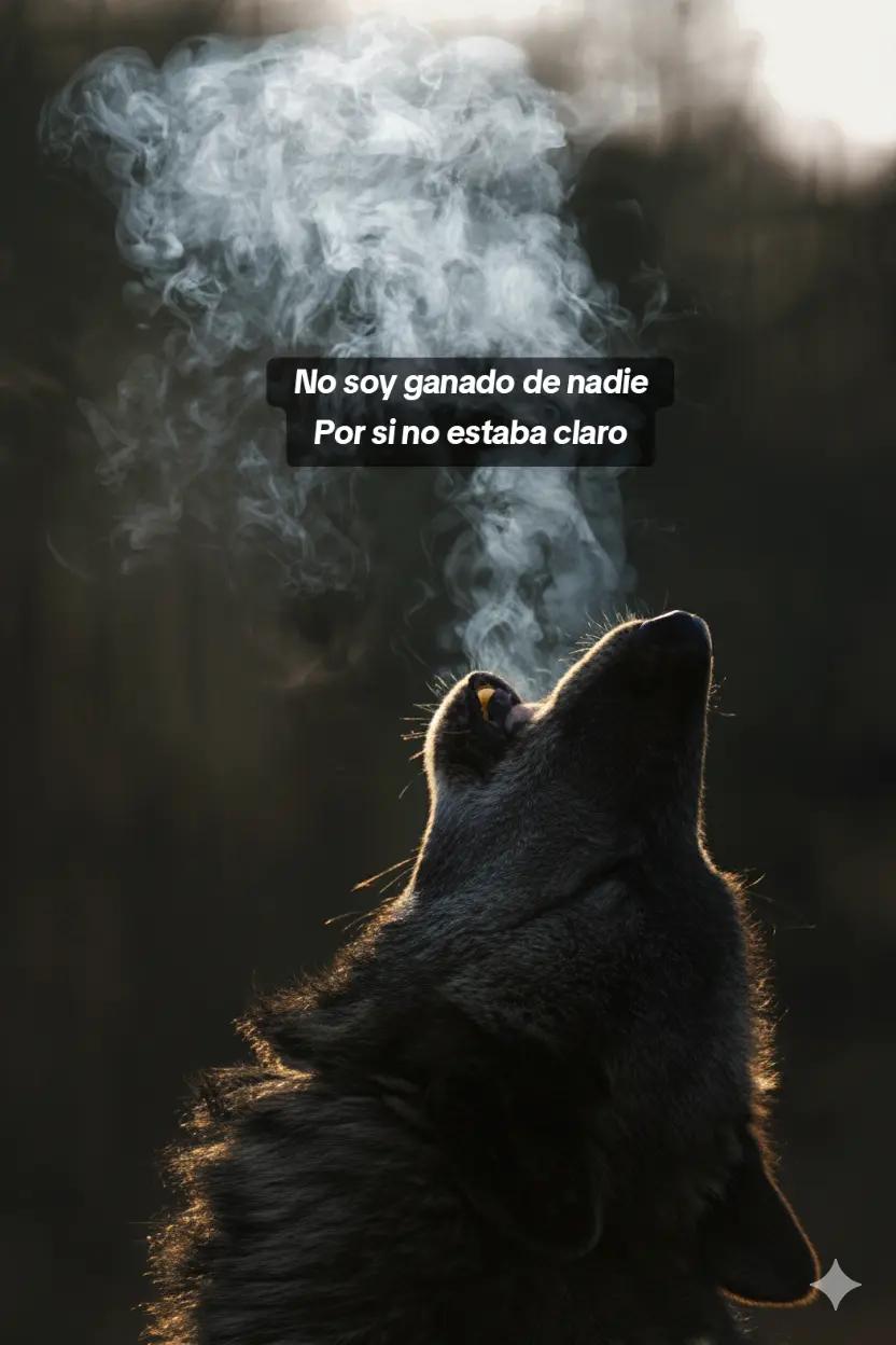 @Mois&eacute;s