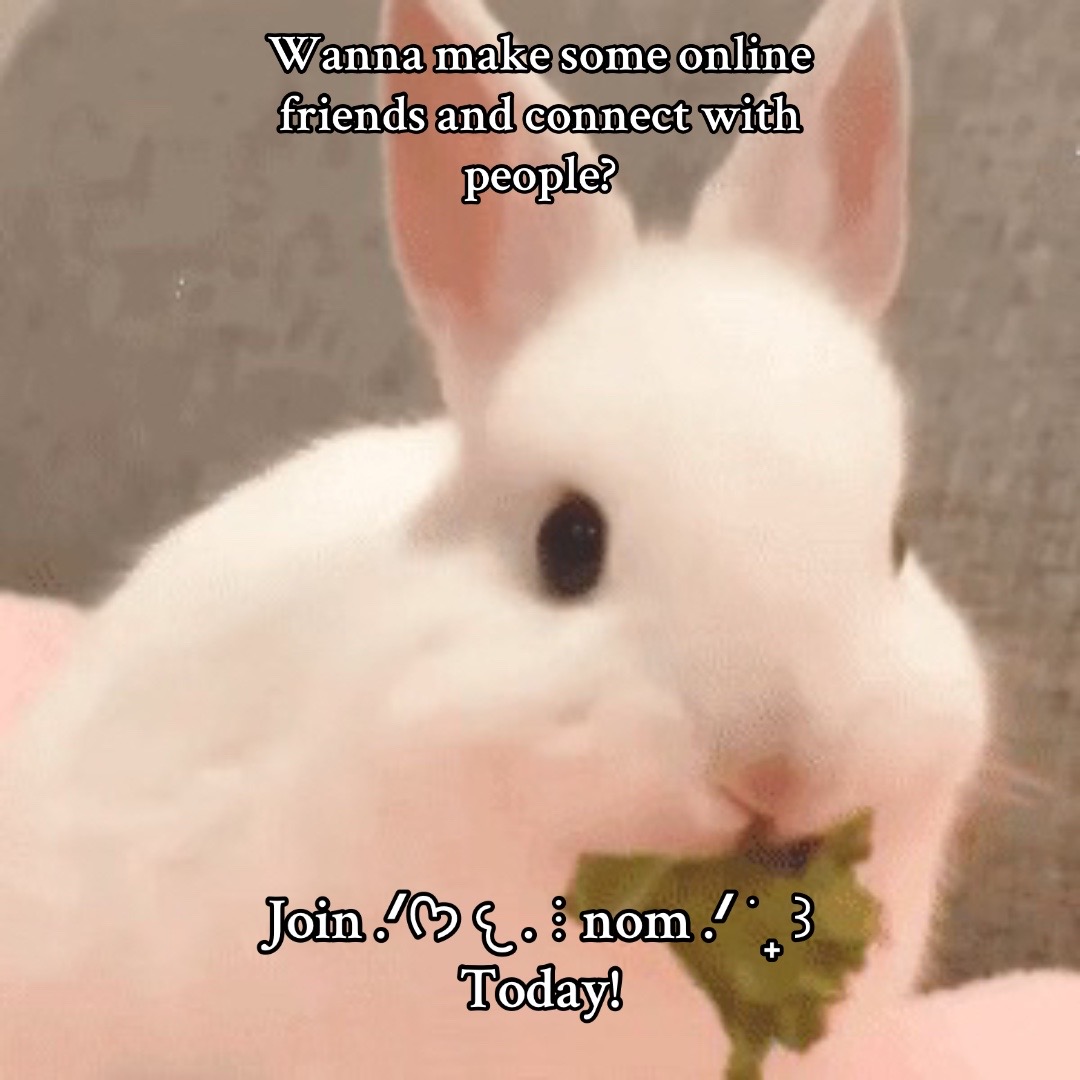 @thenomserver