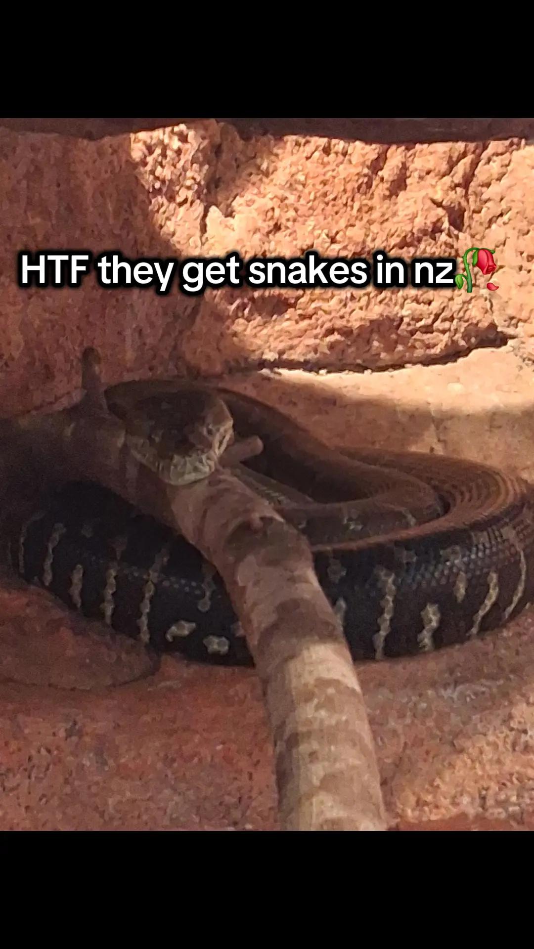 @FFN