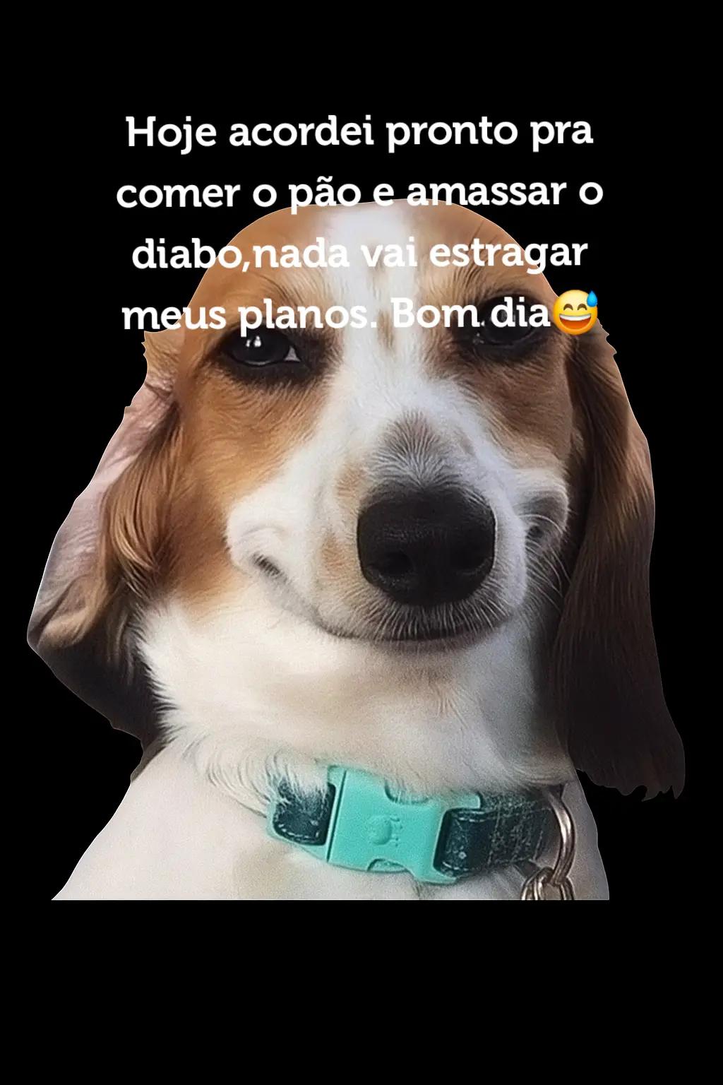 @Bibi