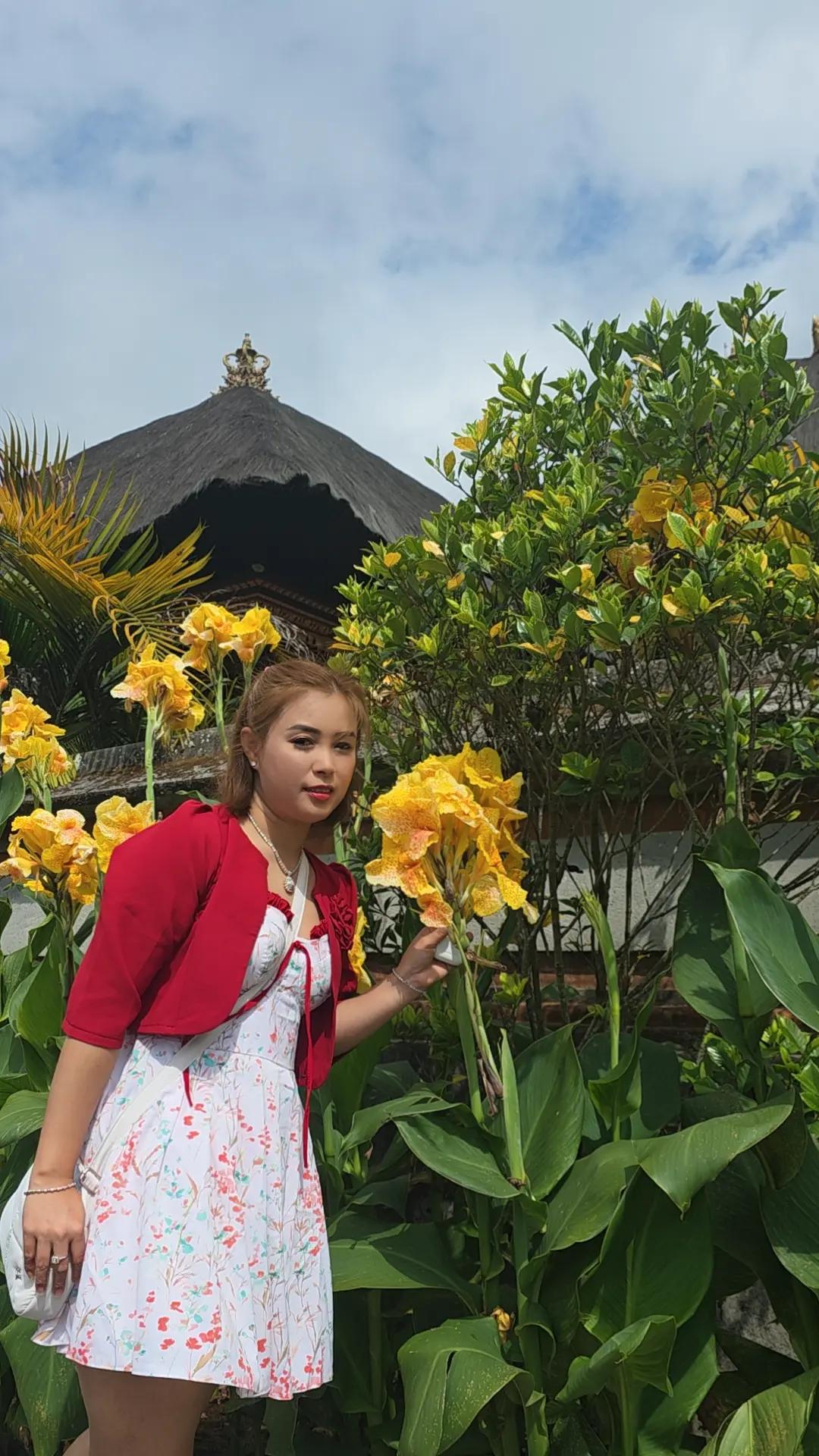 @ဒီဇင်ဘာနှင်း