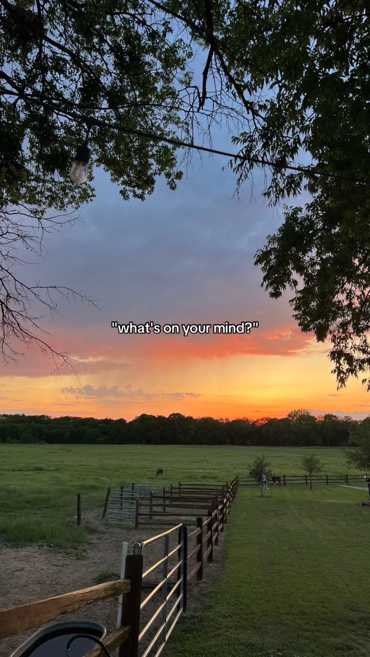 @porchlightcountry