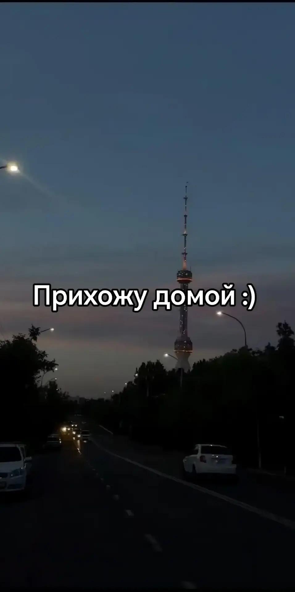 @dolmatov3873