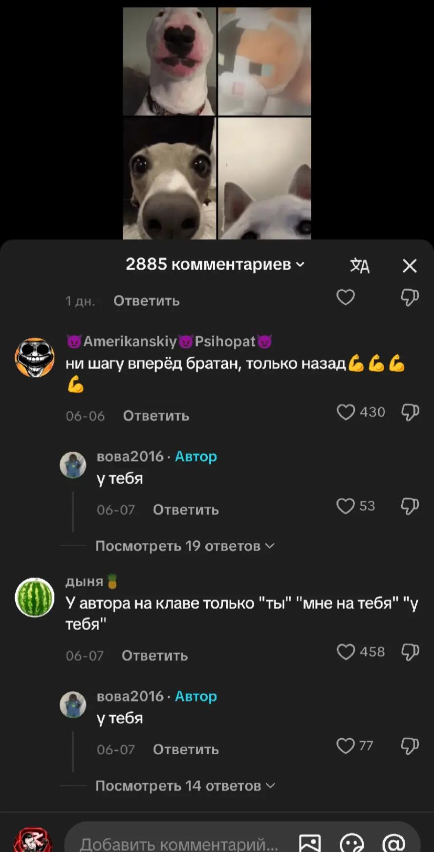 @๐ฝ๐๐๐๐๐ฉ๐ฉ
