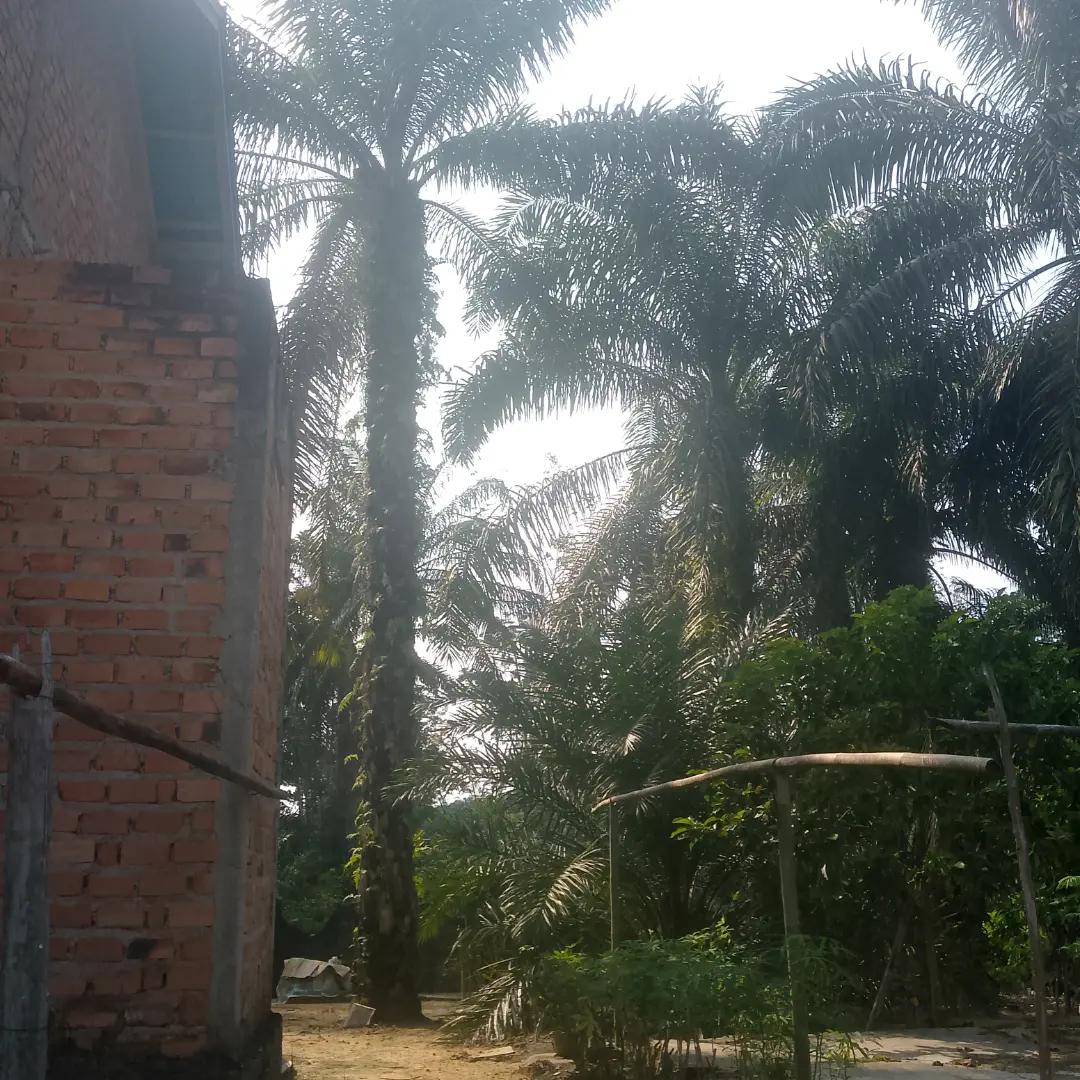@eyang ku sayangEyang Rizky
