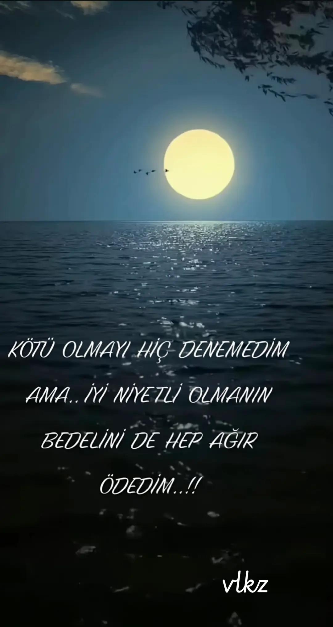 @Umut677✨️