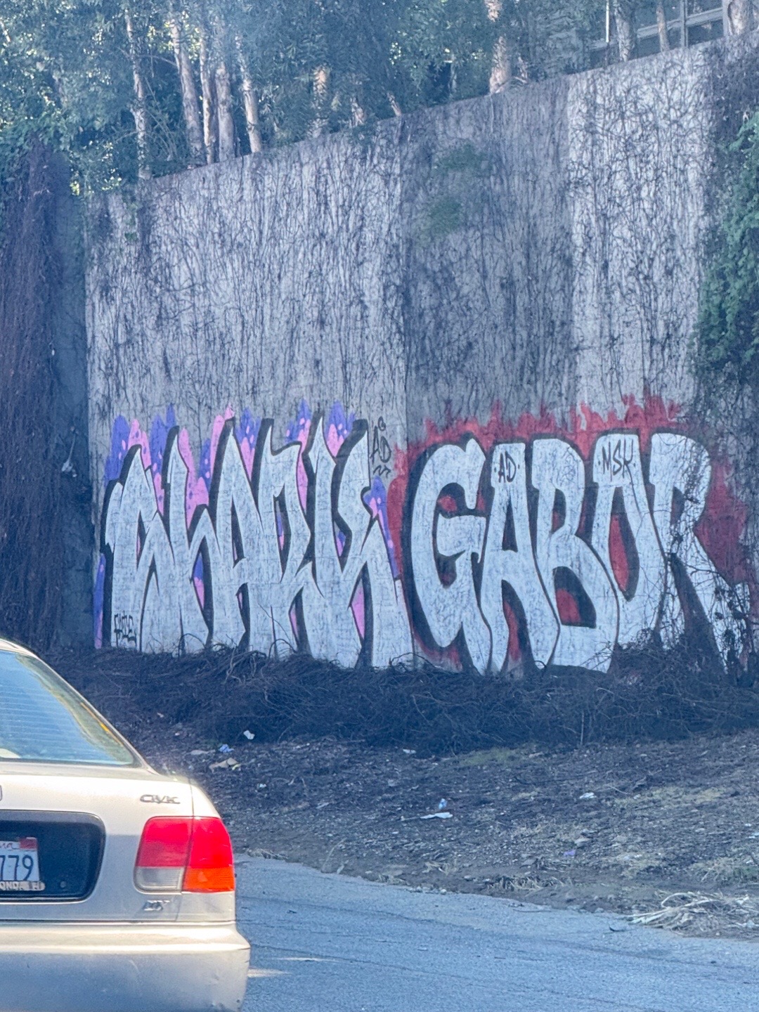 @GaborMSK.AD.TSL
