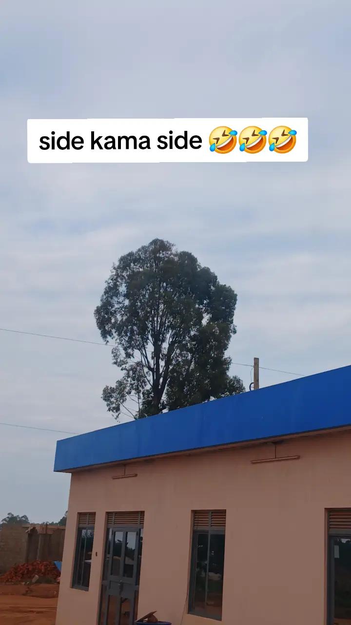 @Mpendwa💘💯