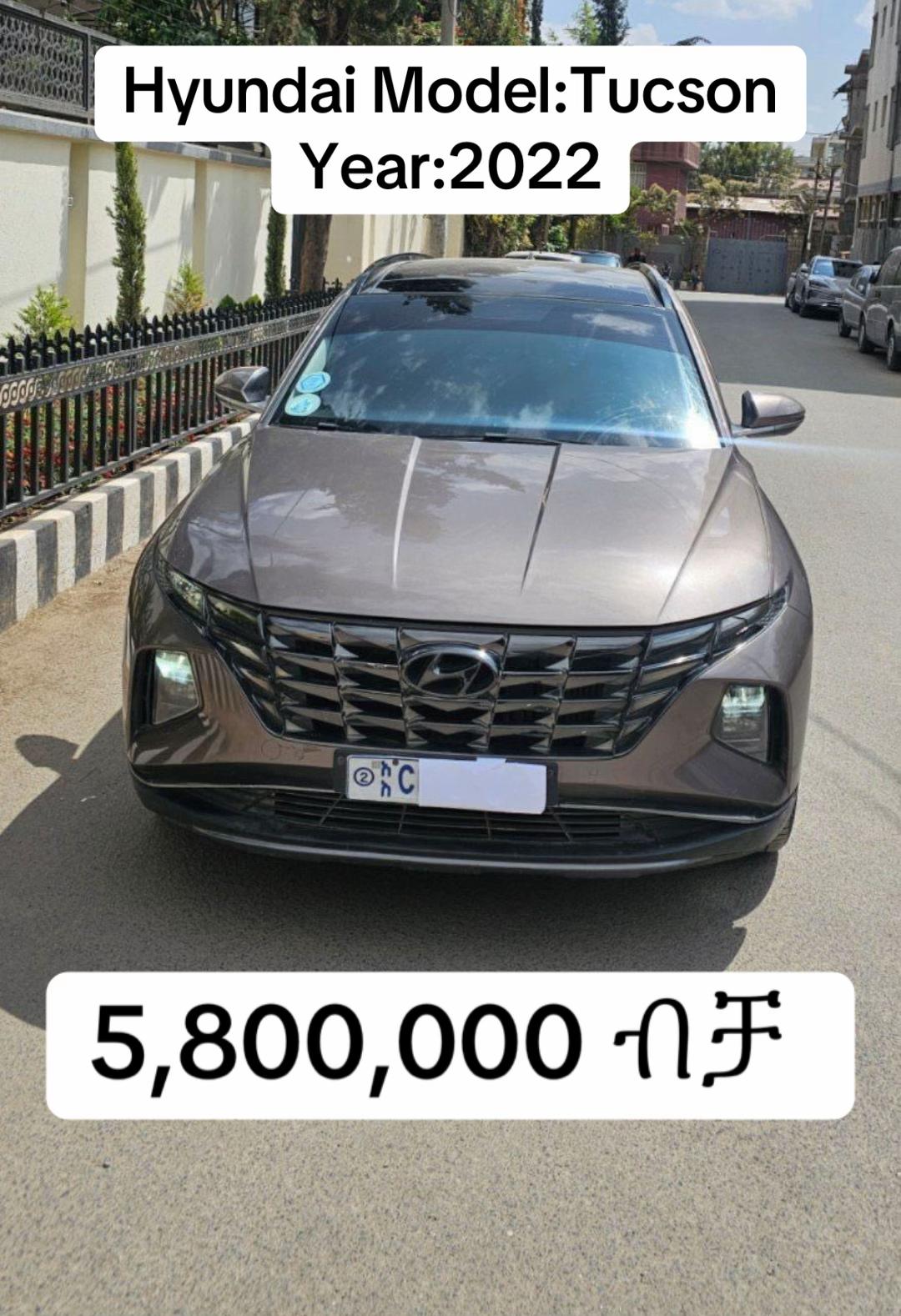 @Loyal Car