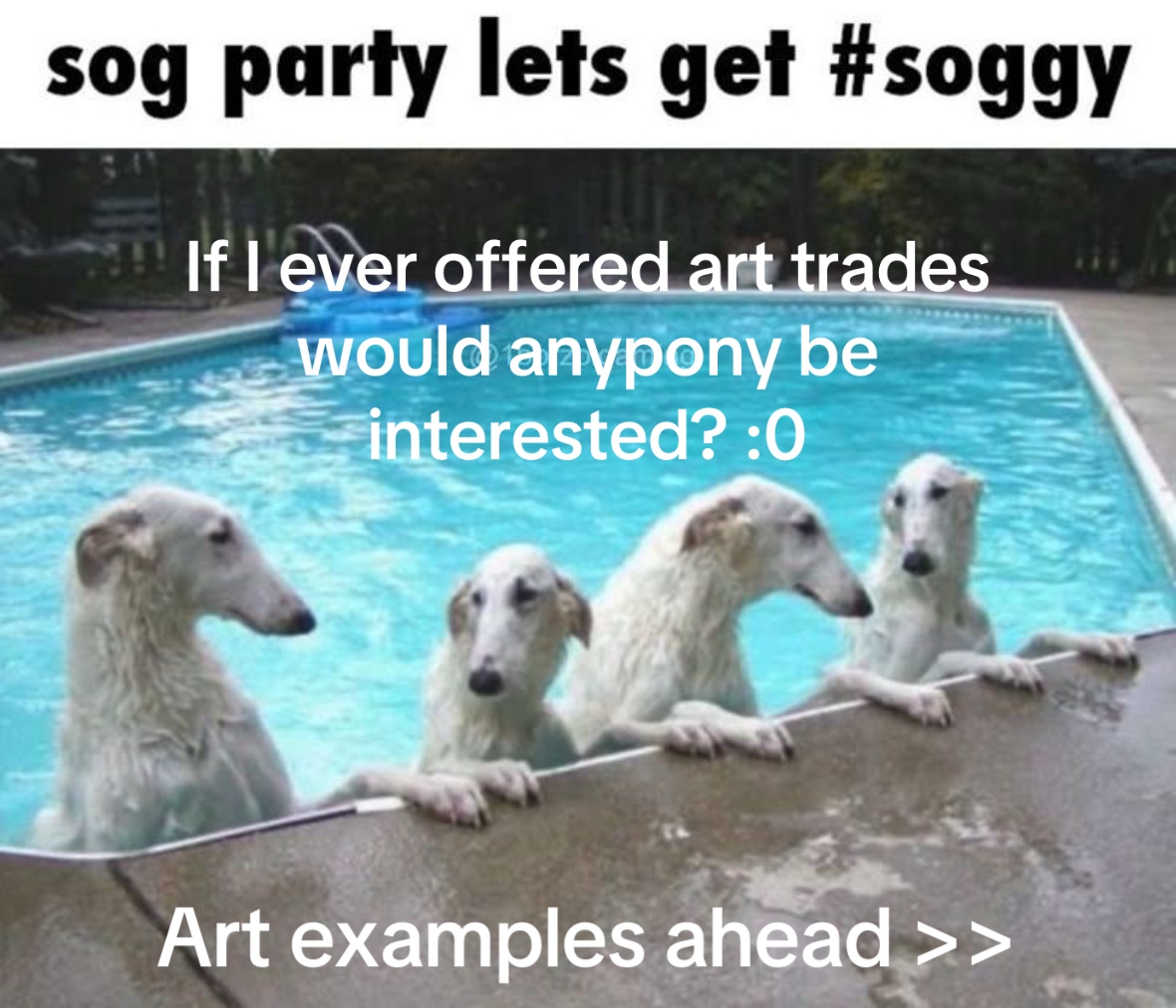 @drvgstorecowgirl