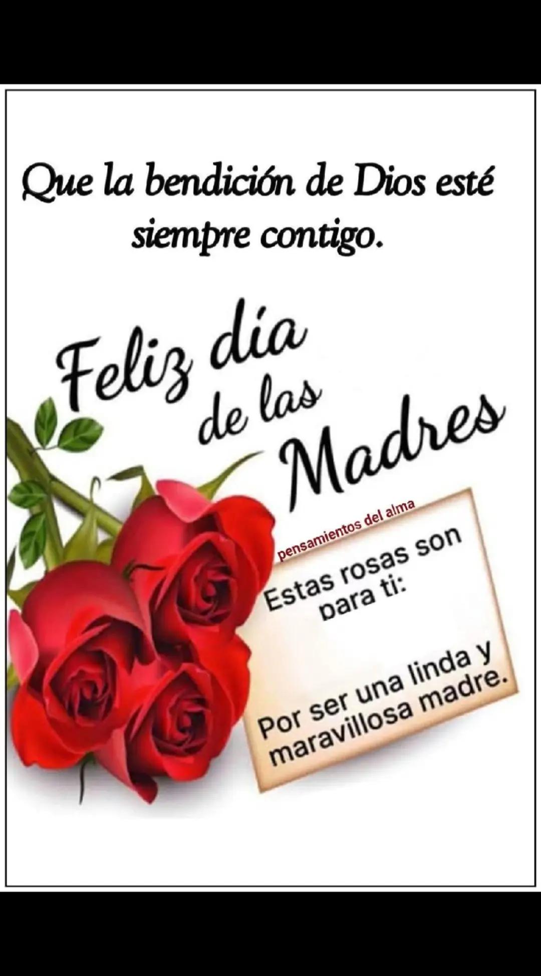 @vilma Arana