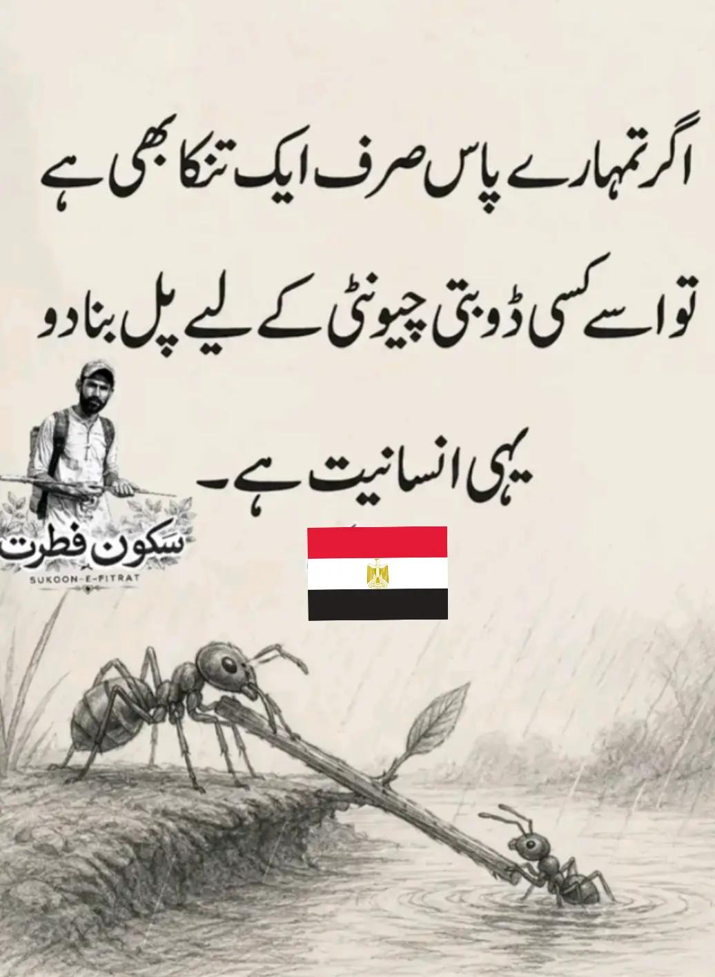 @Nadir Abbas 🇮🇶🇵🇰