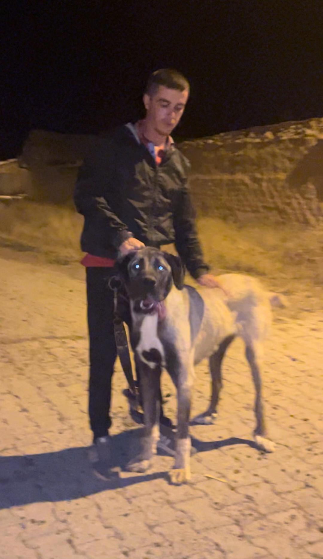 @🌹Kamuran Çimen🌹
