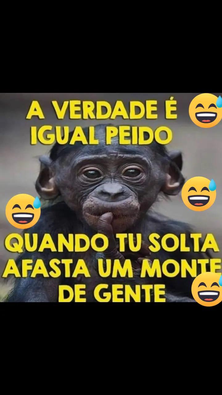 @brechó@Roseguedes59