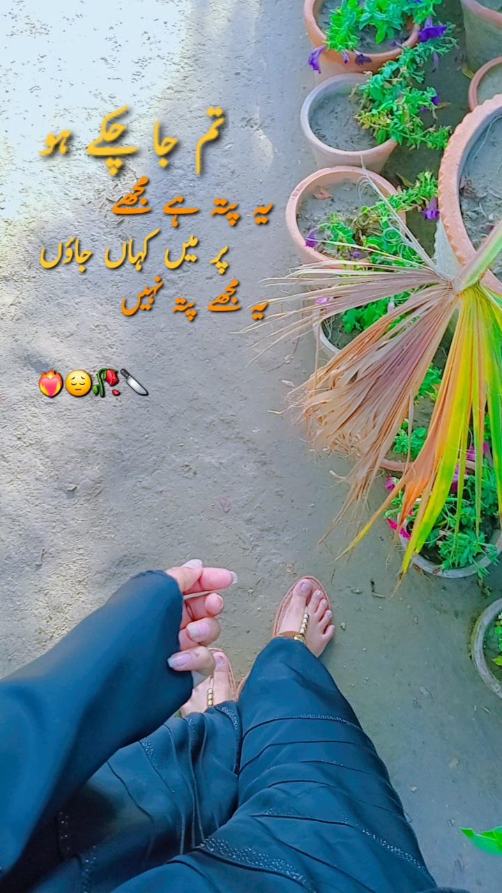 @❤saher_writer❤