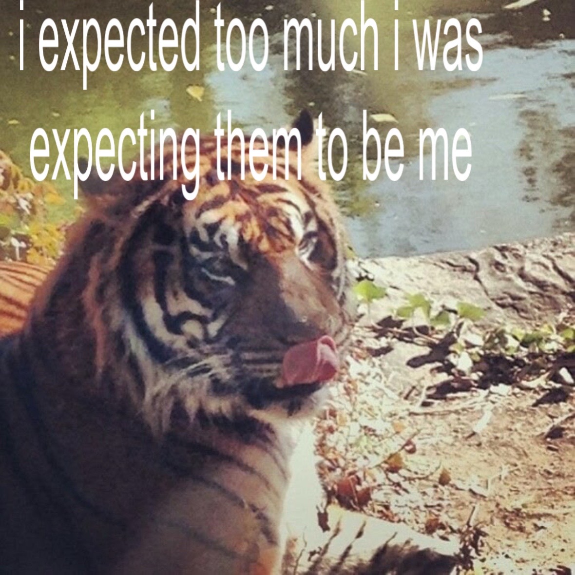 @L@cedX@n