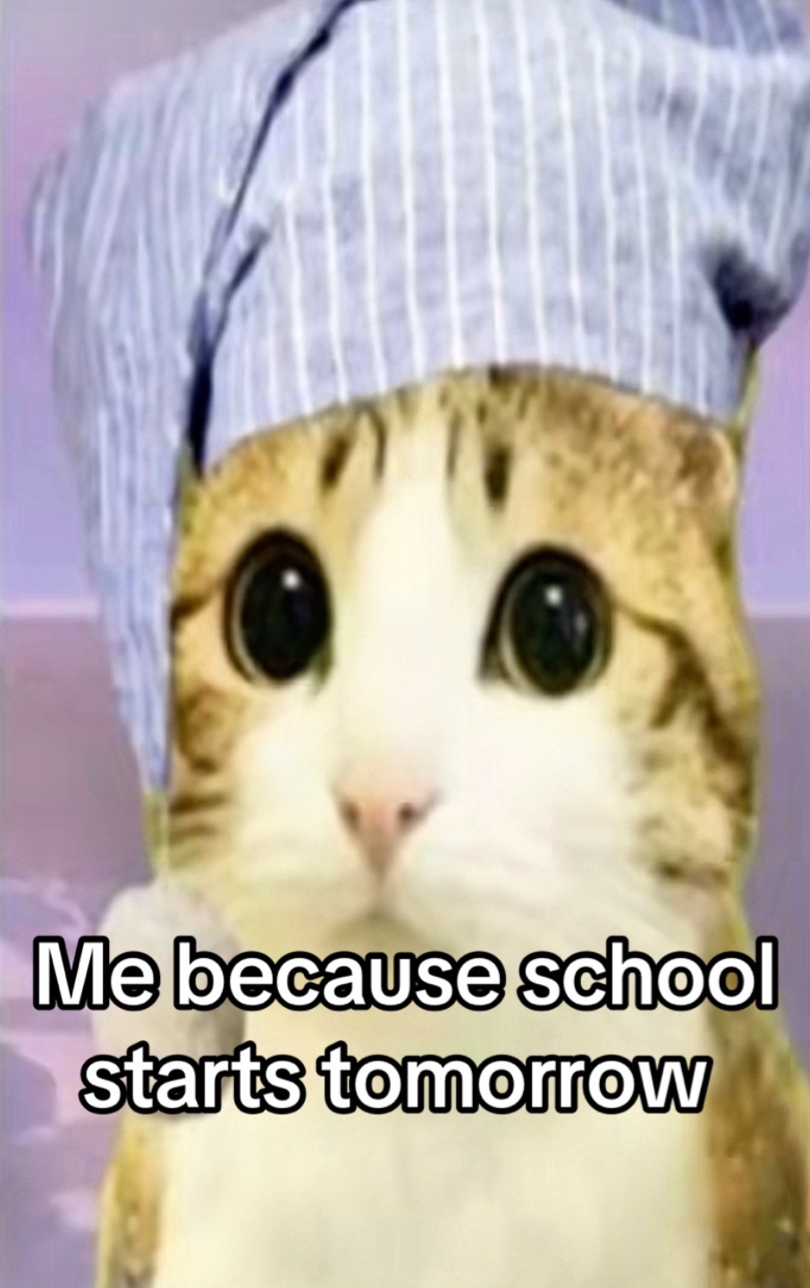 @Any meme