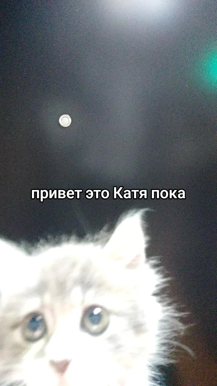 @🦇🪦🍥