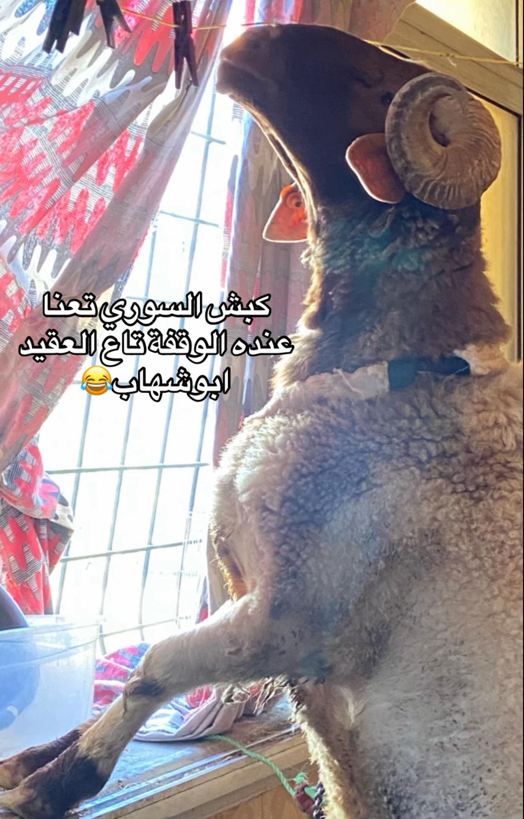 @قَــــــمَــــــرْ🌑