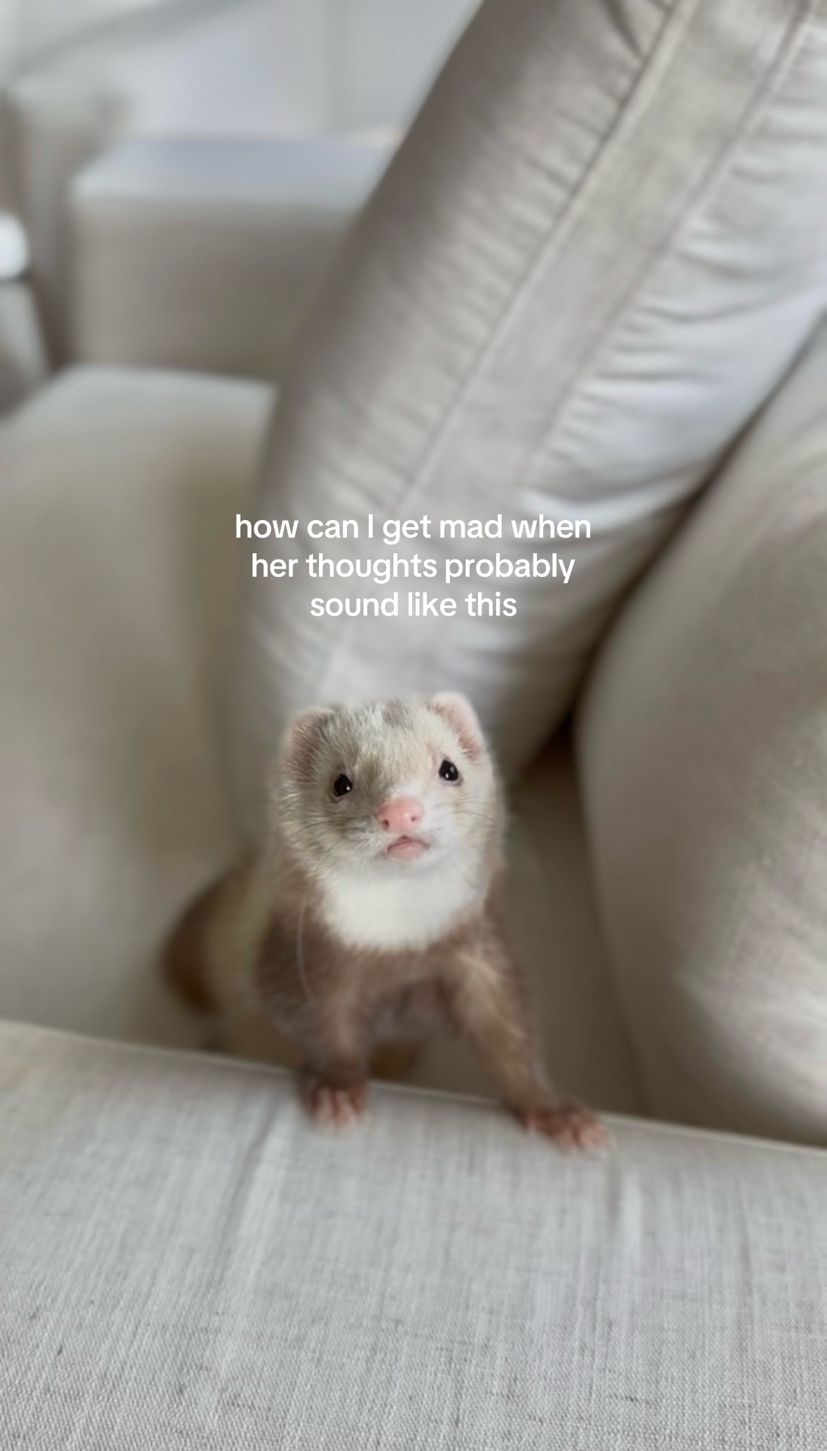 @Moon & Nala