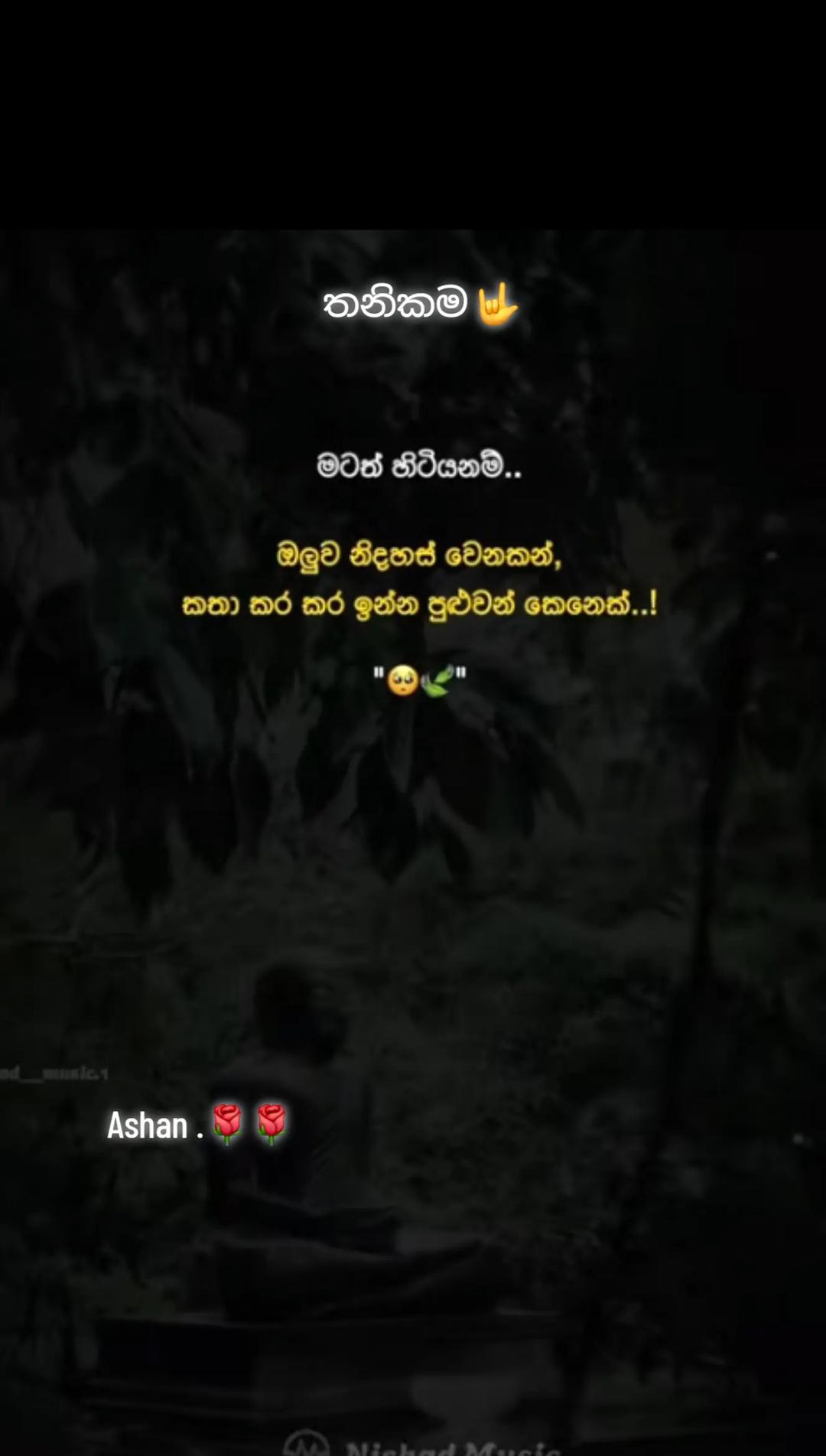 @🇱🇰🎤තනිකමේ🩸🎵🎤 විසේකාරයා🩸