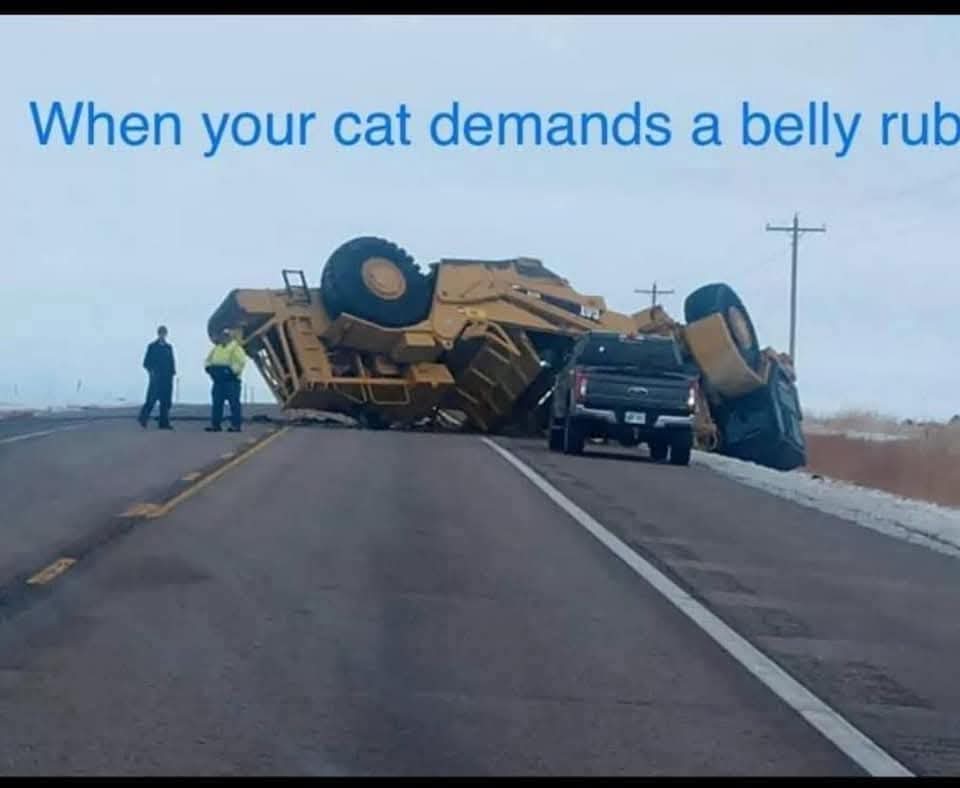 @Misty Lee