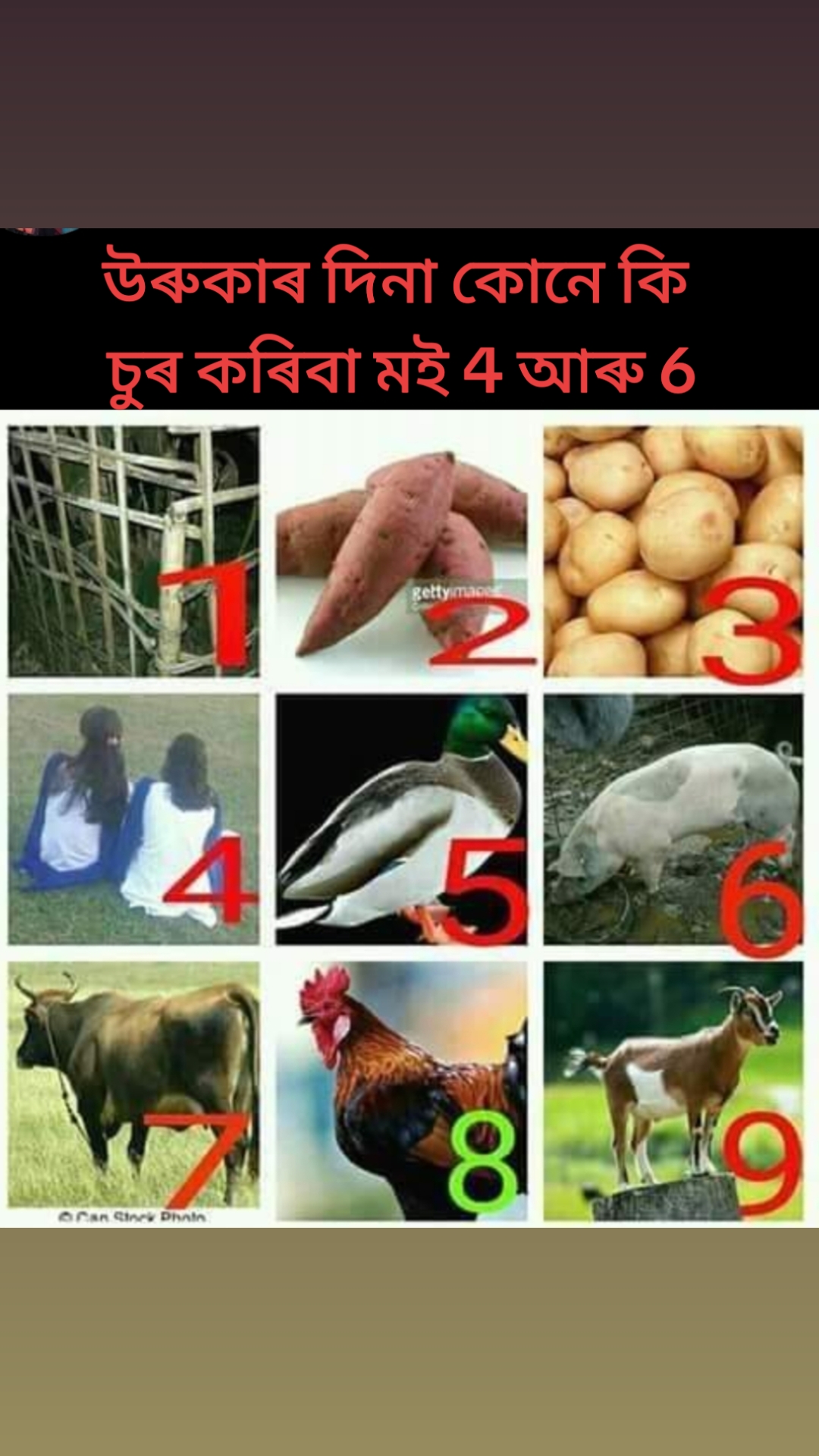@পাপু শইকীয়া