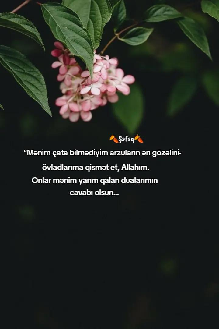 @🍂ŞƏFƏQ🍂