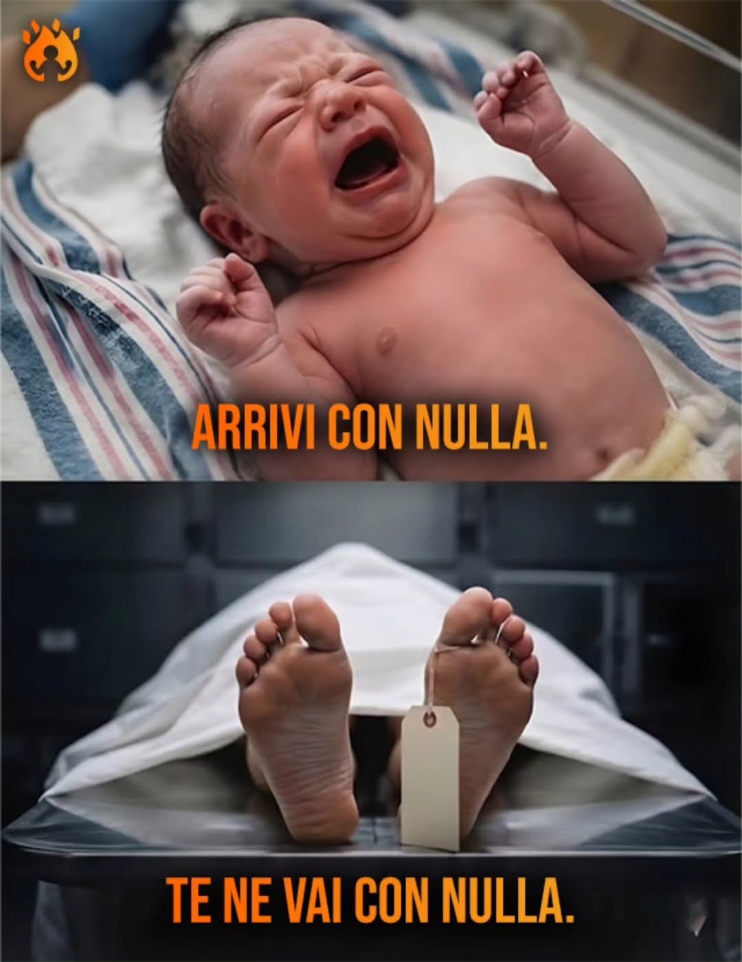 @Yuri