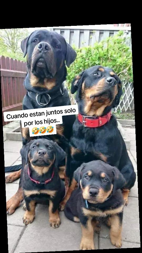 @vane saenz 🇨🇷🇨🇷