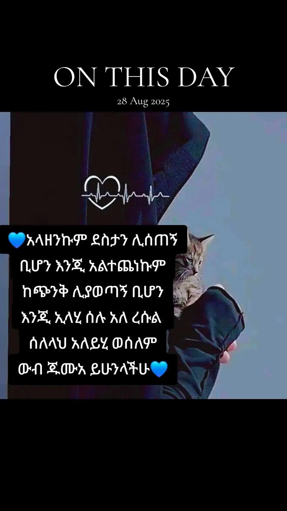 @💙ጦይብሺ💙