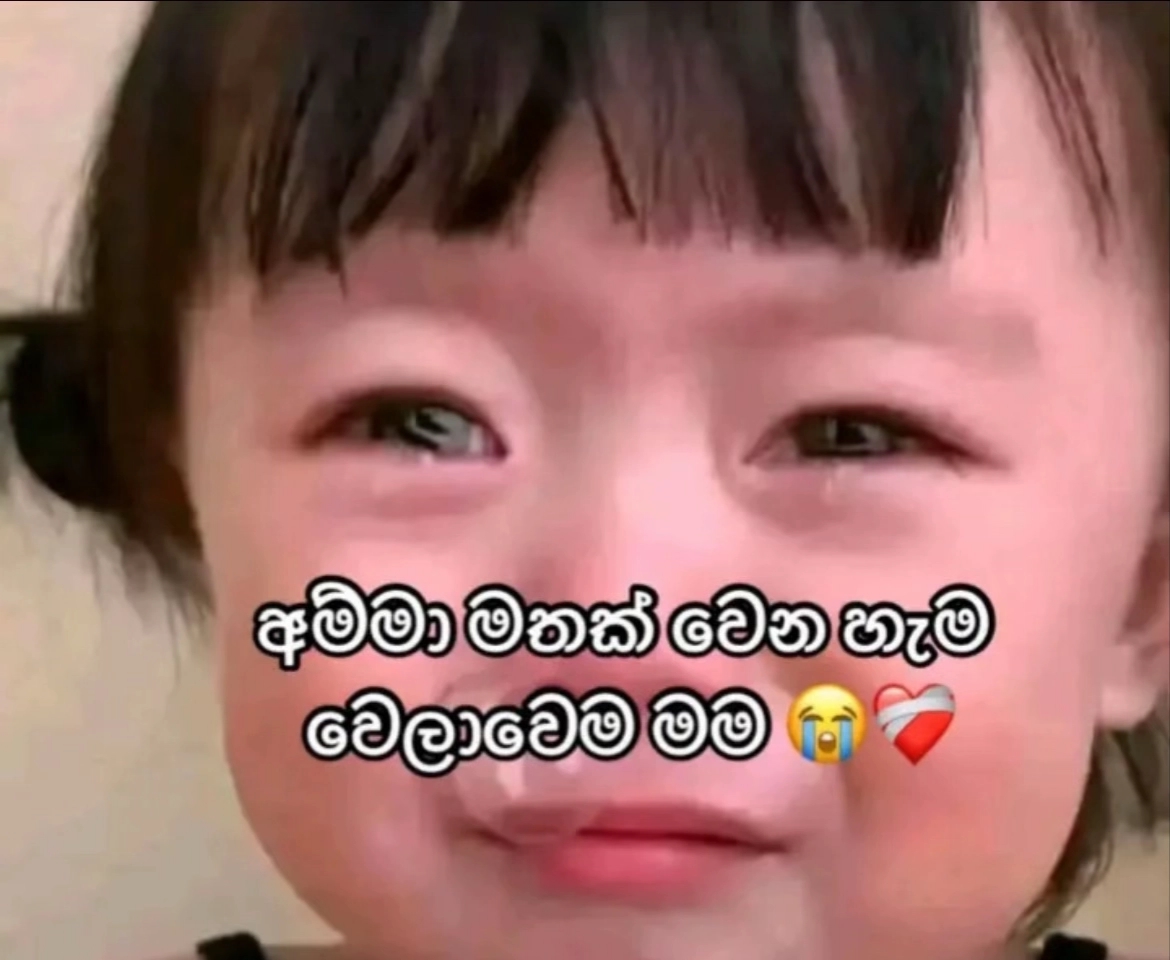 @vihangi ๐โ๏ธ