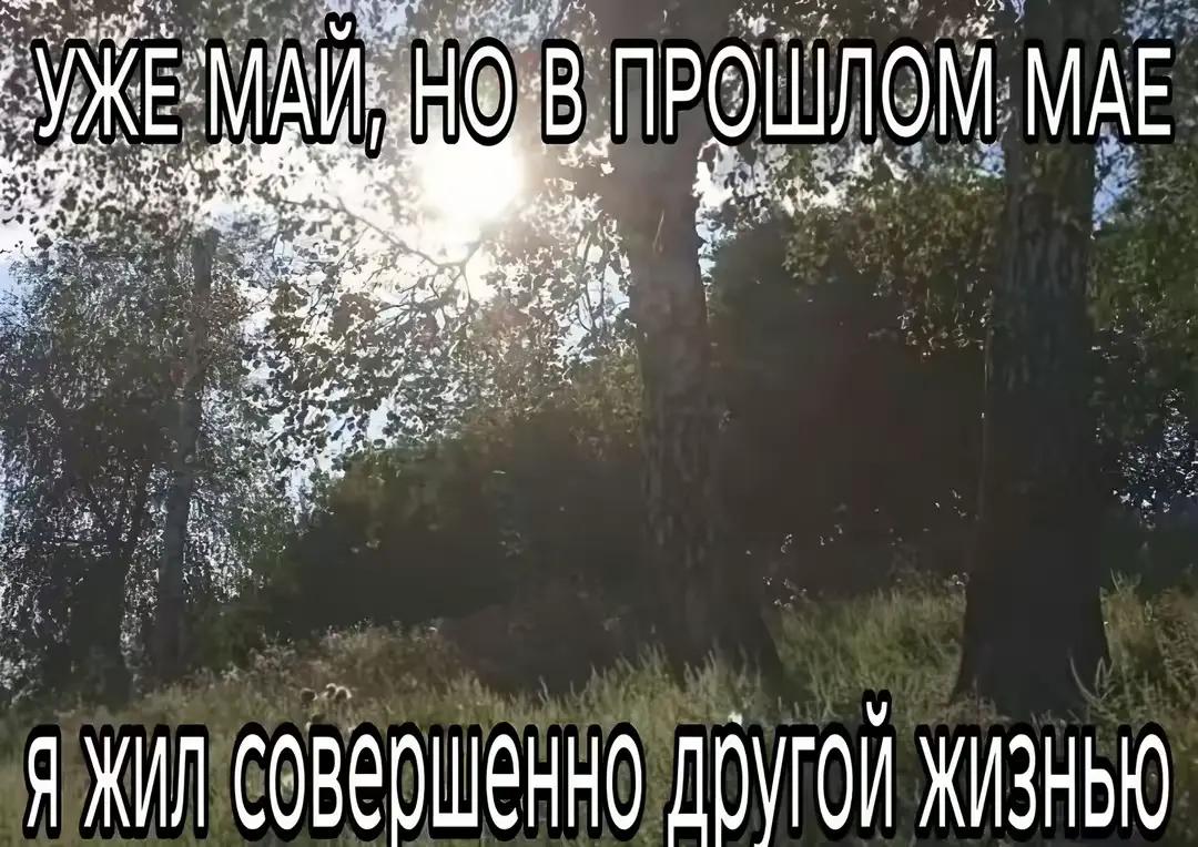 @ФОМКА( =ω= )🫐@