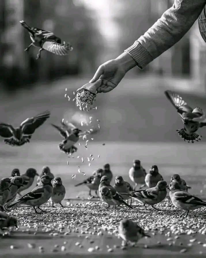 @محمد جرادات